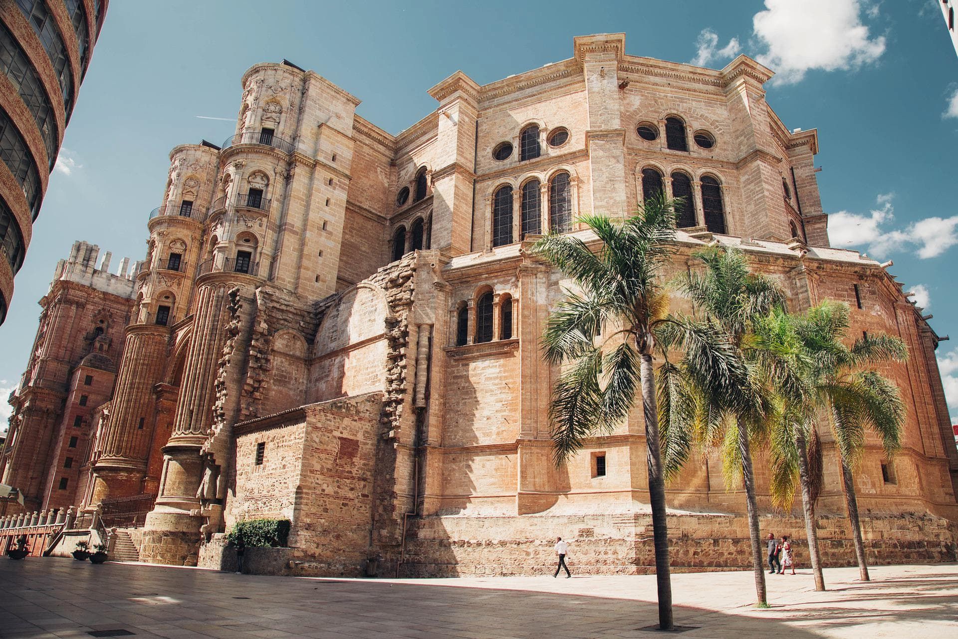 malaga-cathedral-palms